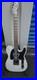 2015_Palir_Gator_Telecaster_style_Guitar_Light_Gray_Used_01_fpax