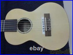 ARIA AGU-4704 Classic