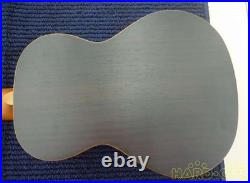 ARIA AGU-4704 Classic