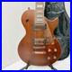 AXL_AL_820_BR_Electric_Guitar_Brown_with_Soft_Case_01_odg