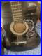 Acoustic_Guitar_With_Humming_Bird_Ornamentation_Just_Needs_New_Strings_01_piiz