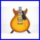 Auth_ARGUS_TJ_12_Electric_Guitar_270_004_008_8874_01_ow