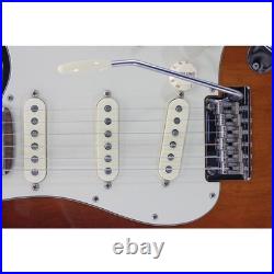Authentic FENDER AMERICAN PROFESSIONAL ST #260-007-174-4957