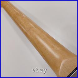 BUSKER'S BST-STANDARD Used Poplar body Maple neck Engineering wood fingerboard