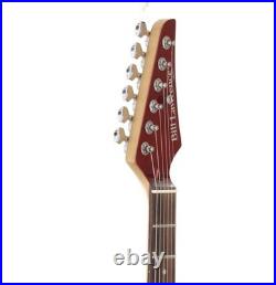 Bill Lawrence VR-402 (no250801)