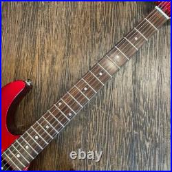 Bill'sBrothers Stratocaster Type Electric Guitar USED