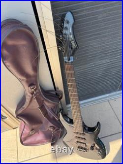 Black Dog by Aria pro II