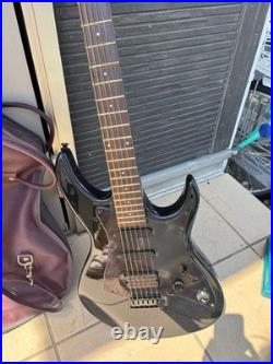 Black Dog by Aria pro II