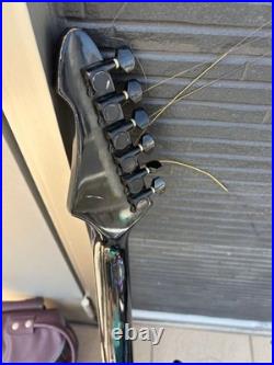 Black Dog by Aria pro II