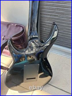 Black Dog by Aria pro II