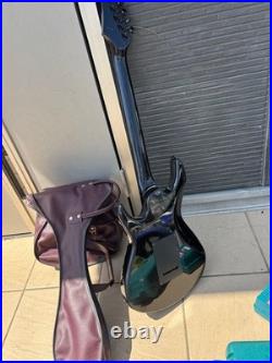 Black Dog by Aria pro II