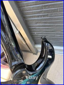 Black Dog by Aria pro II