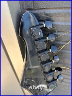 Black Dog by Aria pro II