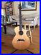 Breedlove_American_Series_C25_SSE_Acoustic_Electric_Guitar_01_wgg