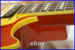 Busker's Bls300