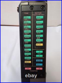 CASIO DG-20 Digital Electric Guitar Synthesizer Working