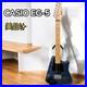 Casio_EG_5_black_EleKing_Guitar_Cassette_Speake_No_External_Amp_Required_01_lg