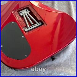 Chatting Bird CAPARISON Wilkinson Tremolo Guitar