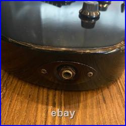 Chatting Bird Electric Guitar -N210