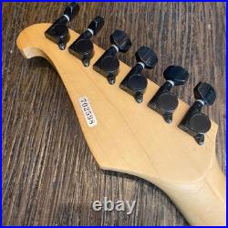 Chatting Bird Electric Guitar -N210
