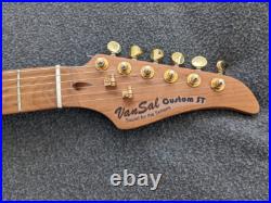 Custom Built Electric Guitar Prototype