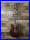 D_Angelico_Premier_DC_Electric_Guitar_01_bvx