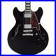 D_Angelico_Premier_DC_Semi_Hollow_Electric_Guitar_Black_Flake_197881340414_RF_01_rc