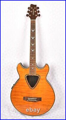 Dillion Jefferson Montoya Electro Acoustic Guitar