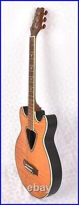 Dillion Jefferson Montoya Electro Acoustic Guitar