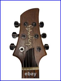 Dragonfly electric guitar BORDER PLUS 650 body only black Used