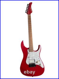 Electric Guitar Fernandes