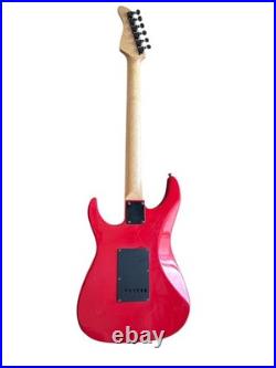 Electric Guitar Fernandes