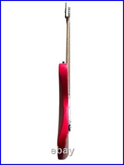 Electric Guitar Fernandes