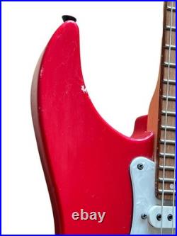 Electric Guitar Fernandes