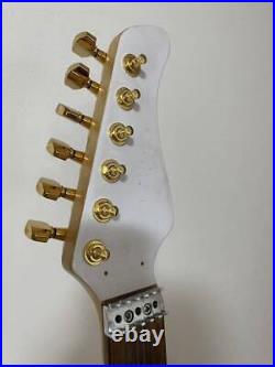 Electric Guitar Fernandes Pegs Come With Soft Case