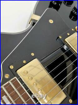 Electric Guitar Model Number LPC 450 LAID BACK