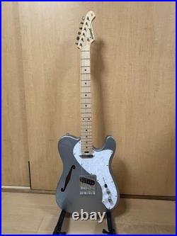 Electric Guitar Thinline No Brand Used with No Issues