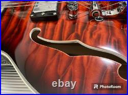 Es-339 Bigsby Stainless Steel Fret