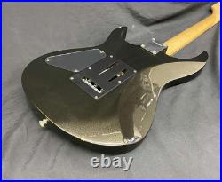 FERNANDES FGZ-1K (no 20250304)