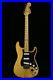 Fender_1976_Stratocaster_Natural_Maple_01_tb