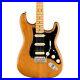 Fender_American_Professional_II_Roasted_Pine_Stratocaster_HSS_Guitar_19703272_OB_01_oy