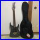 Fernandes_Electric_Guitar_Strings_Instrument_Soft_Case_01_pj