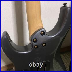 Fernandes Electric Guitar Strings Instrument Soft Case Fernandes Electric Guitar Strings Instrument Soft Case