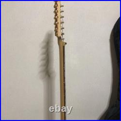 Fernandes Electric Guitar Strings Instrument Soft Case Fernandes Electric Guitar Strings Instrument Soft Case
