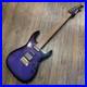 Fernandes_SFR_512_Electric_Guitar_Electric_Guitar_Fernandes_01_qzh