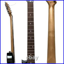 Fernandez Electric Guitar With Soft Case, Used M70816-3