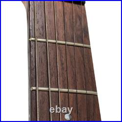 Fernandez Electric Guitar With Soft Case, Used M70816-3