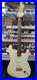 GRASSROOTS_G_SE_42R_Used_Basswoodbody_Maple_neck_Rosewood_fingerboard_withSoftcase_01_vav