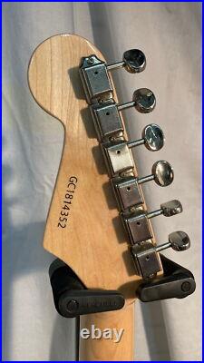 GrassRoots G-SE-50M Used Alder body Maple neck Maple fingerboard withGig case