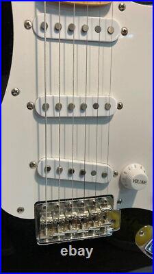 GrassRoots G-SE-50M Used Alder body Maple neck Maple fingerboard withGig case